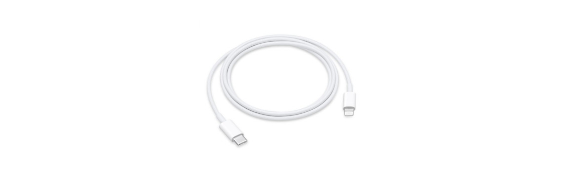 Apple Câble Lightning vers USB-C 1m (Modèle Apple MQGJ2ZM/A)