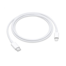 Apple Câble Lightning vers USB-C 1m (Modèle Apple MQGJ2ZM/A)