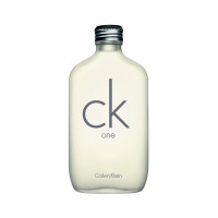 Calvin Klein CK One Eau de Toilette 100ml Mixte